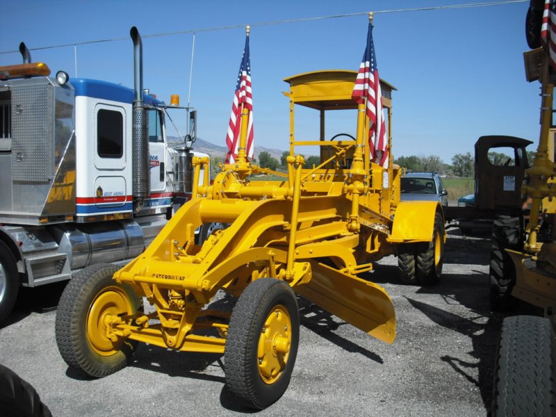 cat1102.jpg