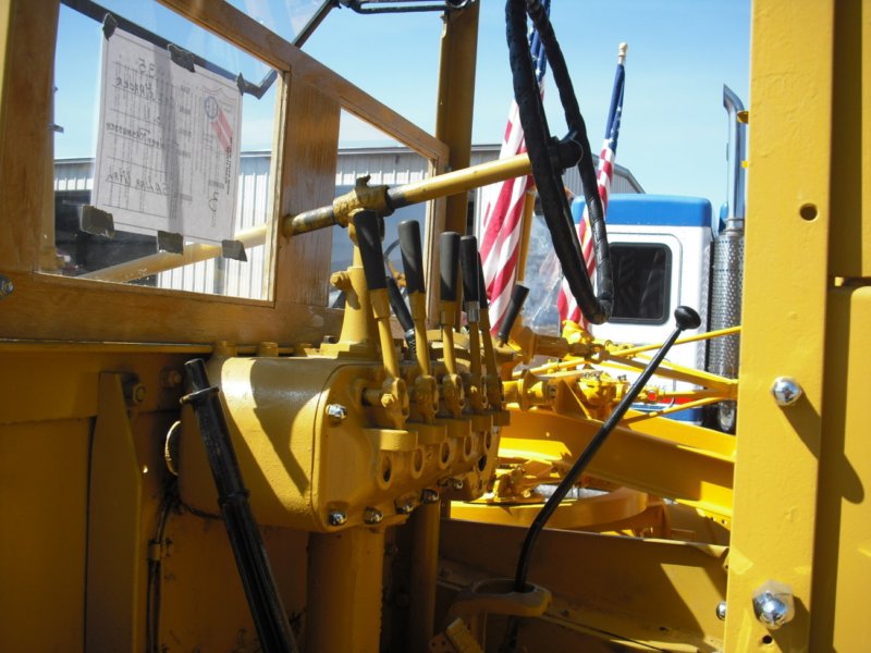 cat1106.jpg