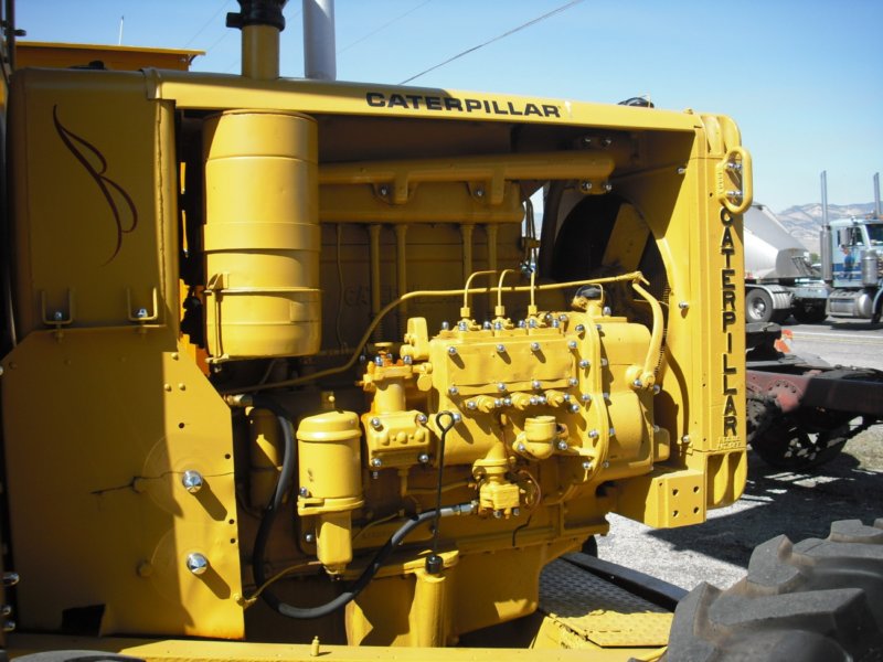 cat1108.jpg