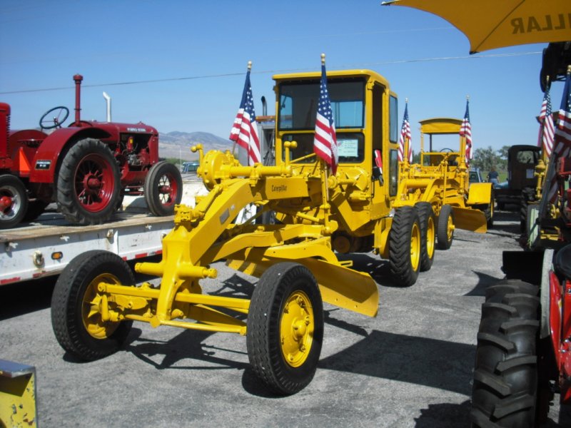 cat21202.jpg