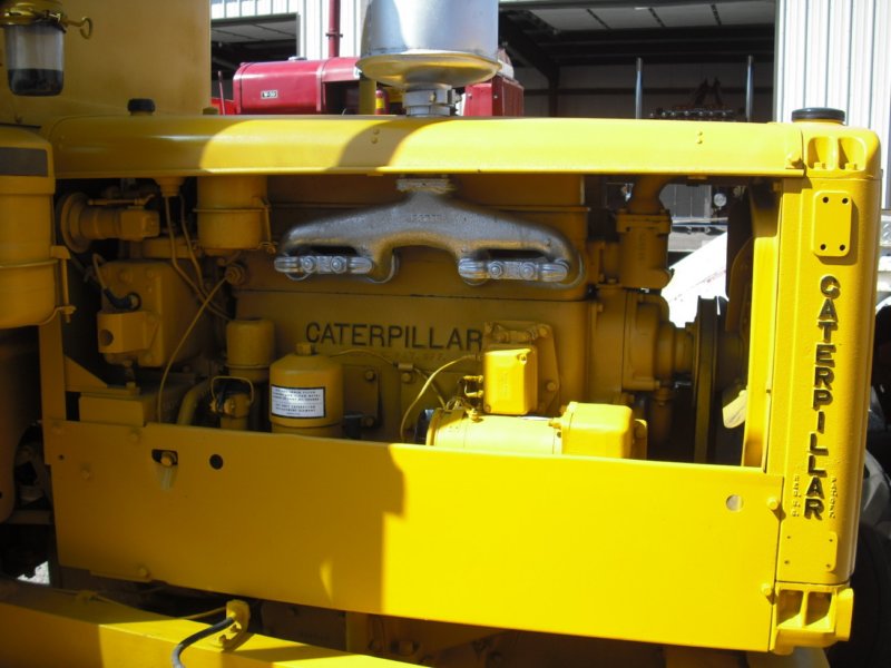 cat21204.jpg