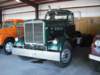 diamondt95003_small.jpg