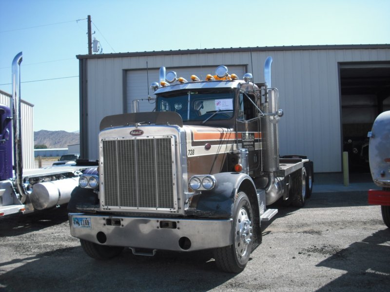 peterbilt7381.jpg