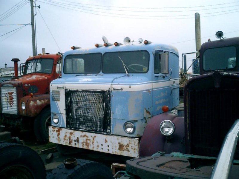 coe01a.jpg