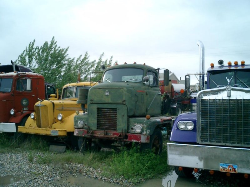 yardtrucks003.jpg