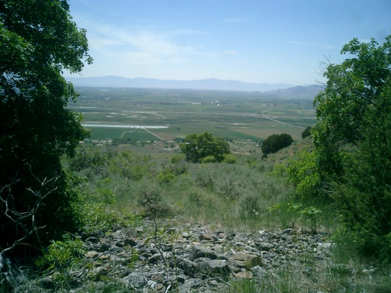 cfcjune1801.jpg