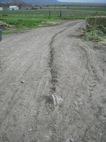 hhroilpan01.jpg
