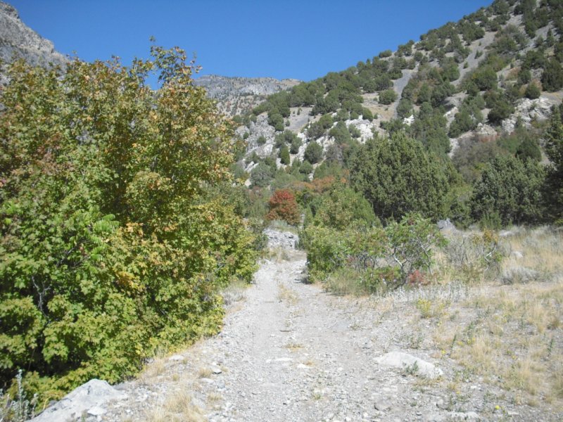 photo4.jpg