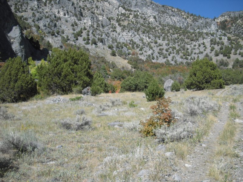 photo6.jpg